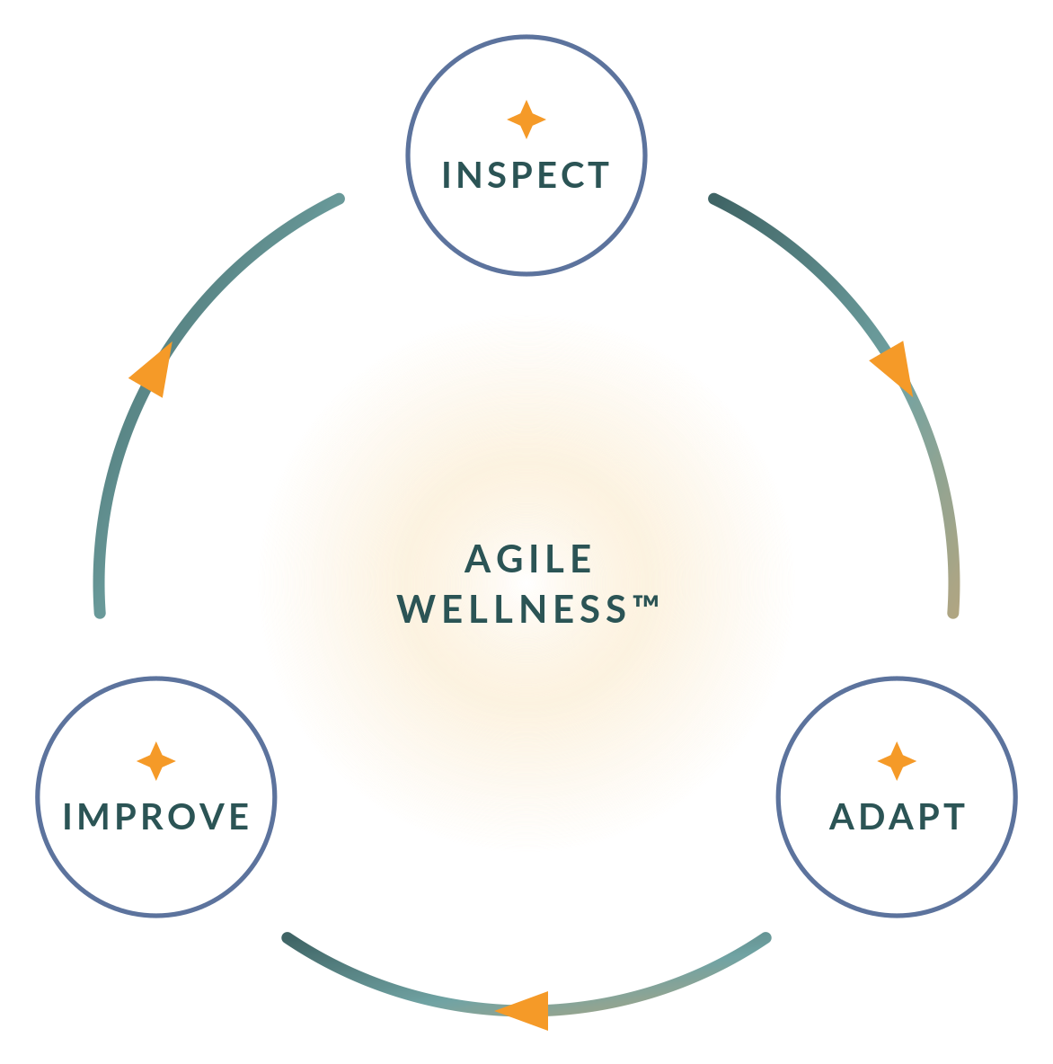 The Agile Wellness Cycle: Inspect, Adapt, Improve